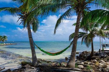 Hammock hanging on trees on beach in Caye Caulker, Belize