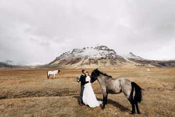 Wedding couple with horses. The groom hugs the bride. Destination Iceland wedding photo session with Icelandic horses.