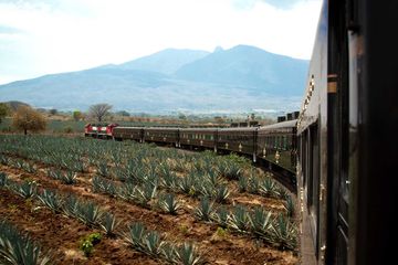 Jose Cuervo Express train to Tequila, Mexico