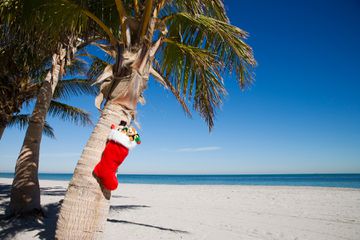 Christmas stocking on palm tree at Crandon beach, Key Biscayne, Miami, Florida