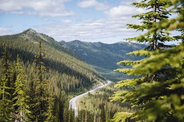 View of road through the Kootenay Rockies in British Colombia with tall green pines