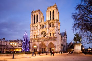 Christmas tree in front of Notre-Dame Cathedral at dusk, Paris, France