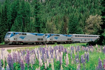 An Amtrak long-distance train travels through the lush forests and wildflower meadows of the Pacific Northwest