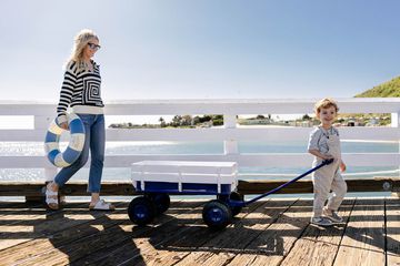 Amanda Kloots and Elvis Cordero enjoying the Malibu pier with a wagon on a sunny day 