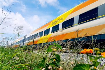 A Brightline train traveling past flowers on the side of the tracks