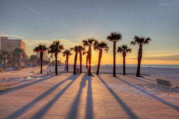 Sunrise behind the palm trees in Gulf Shores, Alabama