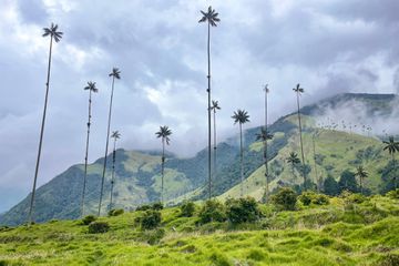 Scenic view of Cocora Valley in Colombia 
