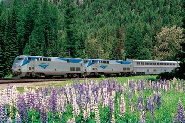 The Empire Builder Amtrak train going past wildflowers 