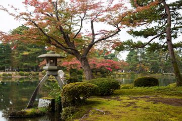 Kenrokuen Gardens in Ishikawa, Japan during the Fall 