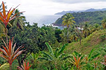 View of the South coast with a lush jungle on Dominica