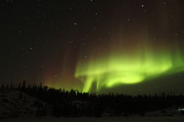 The Northern Lights seen over trees in Canadas Northwest Territories 