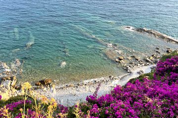 Aerial view of pebble beach and clear blue water with a cliff of magenta and yellow florals