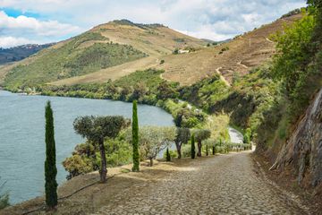 The deep valleys of the wine-making region of the Douro Valley in Portugal 