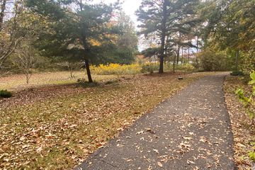 A nature trail covered in fall leaves 