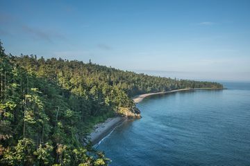 The wooded coastline of Whidbey Island, Washington