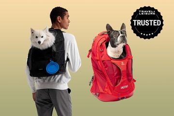 Collage of Best Dog Backpack Carriers 