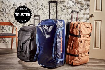 Assortment of best rolling duffel bags displayed in front of wallpaper